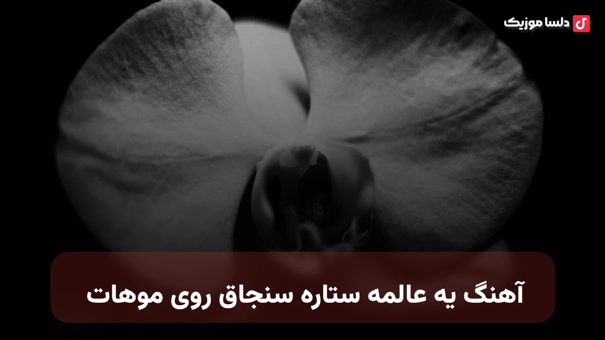  یه عالمه ستاره سنجاق روی موهات محسن لرستانی
